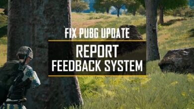 pubg report