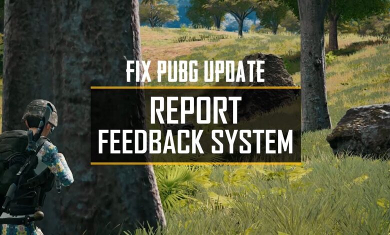 pubg report